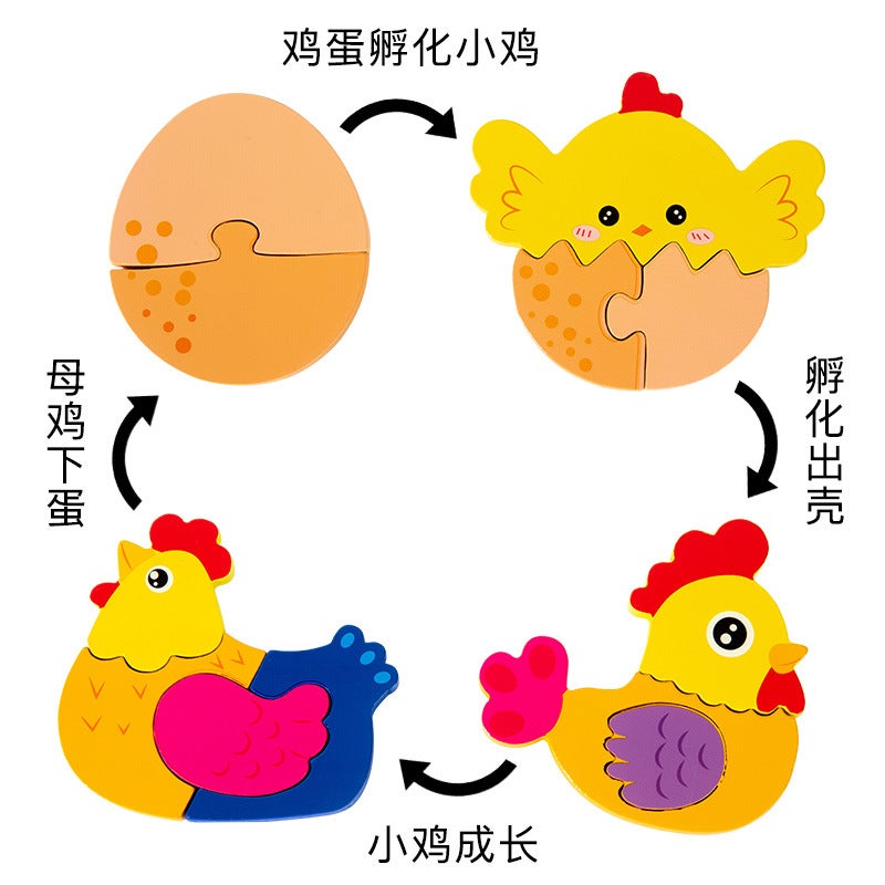 Wooden Kidsren'S Early Education Animal And Plant Life Growth Cycle Process Puzzle Shape Cognitive Puzzle Educational Toy - Image 5